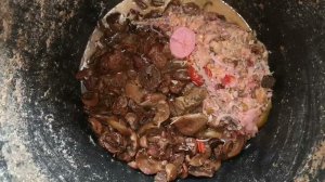 Чем кормлю всю Птицу моя мешанка