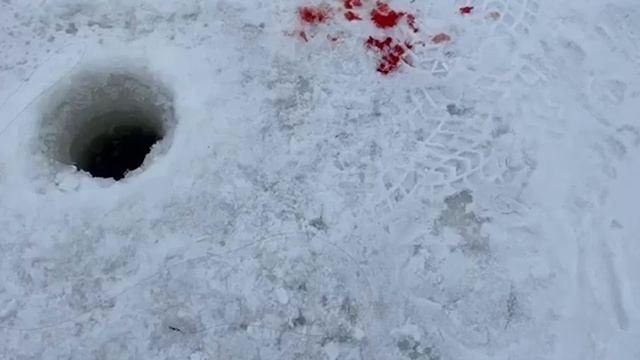 Невероятно, но факт: щука на флурокарбон и одинарник! смотреть онлайн