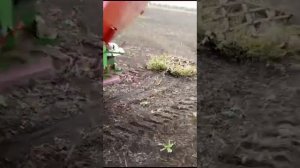 сев озимой пшеницы РУМом.часть1.