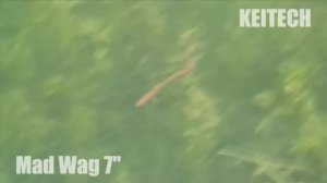 Убойная приманка для трофейного хищника. Keitech Mad Wag