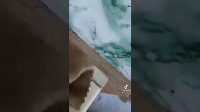 videos_борьба с тараканами.mp4