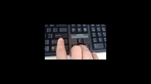 Как выделить текст с помощью клавиатуры