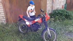 ЗиД 50 Пилот.2т