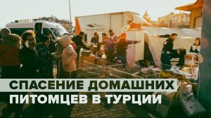 Спасение пострадавших от землетрясения животных в Турции — видео