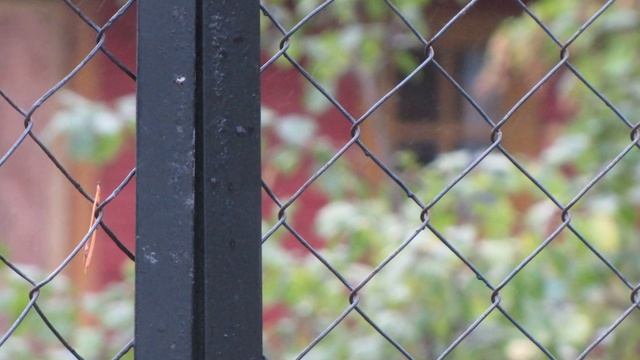 Дом ты украшение. смотреть онлайн