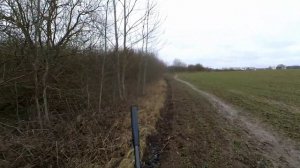 ОТСТРЕЛ ВРЕДИТЕЛЕЙ | ОХОТА НА ВОРОН СОРОК СОЕК