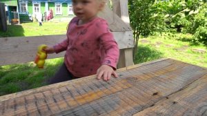 Начало лета в деревне. На грядках уже растет зелень и можно приготовить щавелевый суп. АСМР