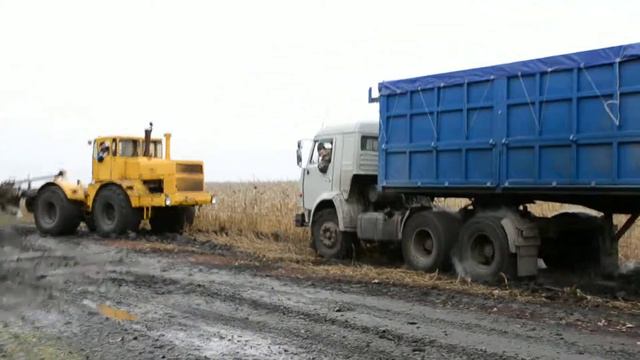 уборка семечки 2013 смотреть онлайн