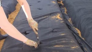 посадка клубники на агроволокно