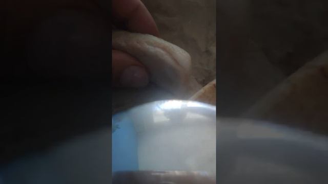 Паразиты в сале. Свинные паразиты. Ленточные и кольцевые черви. Глисты. Свинина. Сало: польза и вре смотреть онлайн