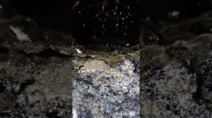 Отзыв о котле Буржуй-к т20а