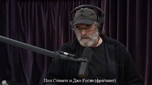 Пол Стеметс о ежовике гребенчатом