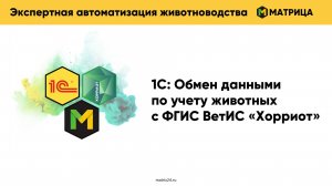 Обучающее видео по программе "1С Обмен данными по учету животных с ФГИС ВетИС Хорриот"