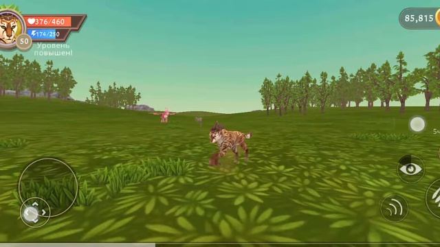 ОТПРАВЛЯЕМ Кофейка в в своё личное путешествие и выполняем КВЕСТ по кабанам в Японском лесу [1ч]?? смотреть онлайн