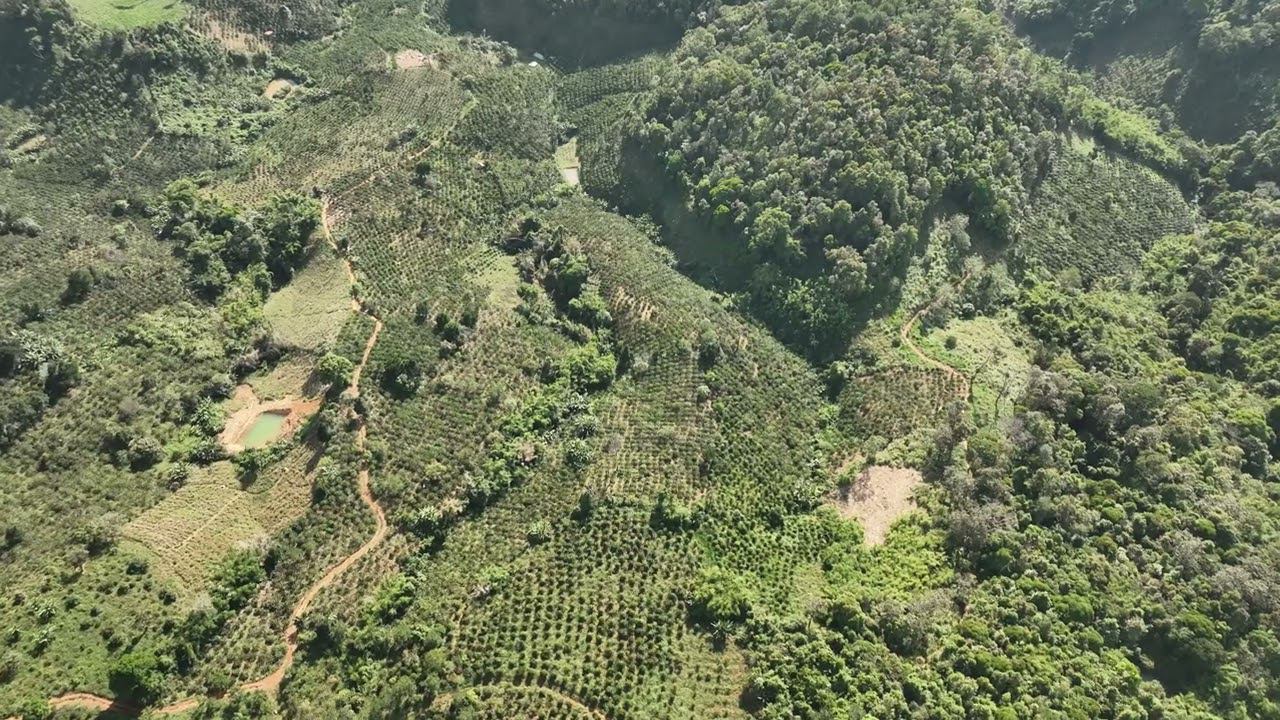 Flying A Copter In The Jungle Un13