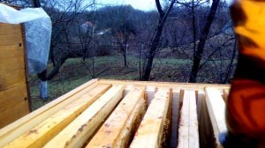 Испытания средства "СТОП-МОЛЬ".