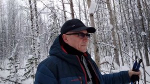 Катаемся на лыжах в феврале.