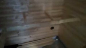 Постройка каркасной бани WoodEl 2.3×8 метров