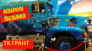 Аквариум и обезьянки в Грант