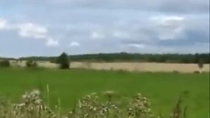 Славянская певица Млада - А пришла весна.flv