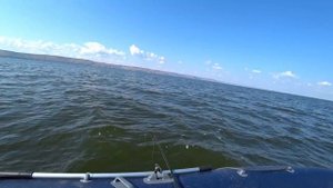 Сом на квок в непогоду. Как ветер влияет на усатого?