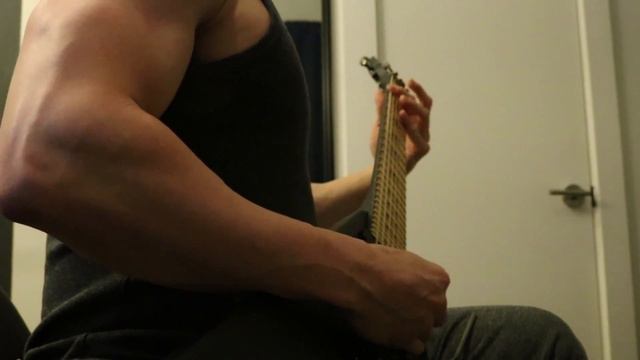 Xerath - "Reform Part III" (Cover) - Schecter Jeff Loomis JLV-7 FR смотреть онлайн