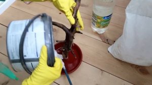 Из старой КОРЯГИ сделала ШЕДЕВР