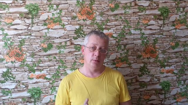 10 от зарплаты. Один день одна покупка.