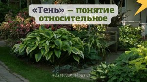 Тень — понятие относительное.?