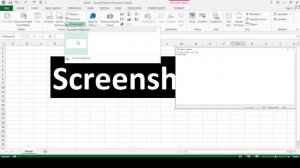 screenshot in excel | Screenshot |  excel me screen screenshot kaise le | excel | ms excel