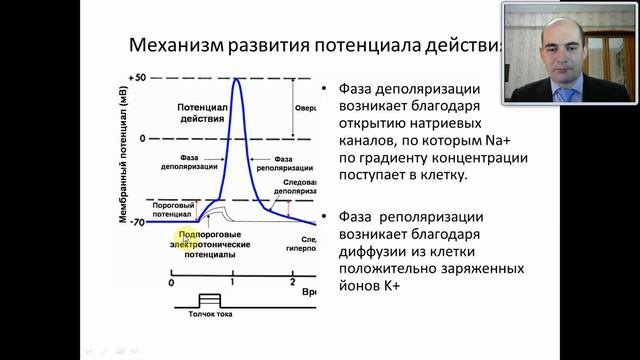 2  Общая психофармакология