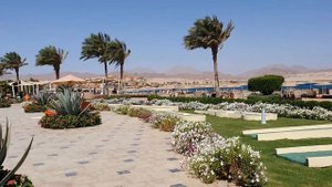 Barcelo Tiran Шарм-Эль-Шейх май 2021