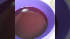 Изготовление вина из сибирского винограда.  Продолжение