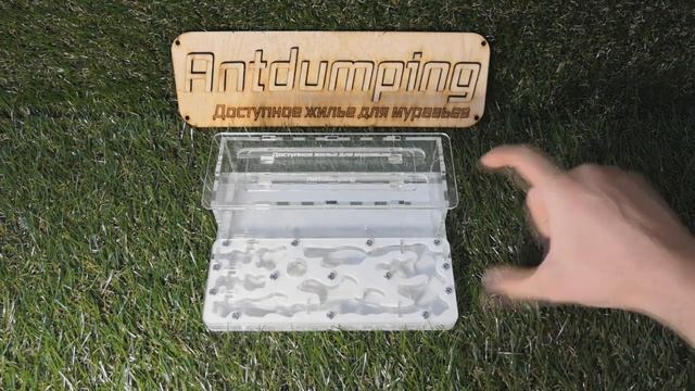 Фелуга v2 (Формикарий за 1500р) Обзор,формикария и заселение муравьев смотреть онлайн