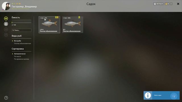 РР4🔔Русская Рыбалка4🔔Сура,троф,Плотва смотреть онлайн