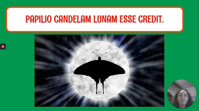 Ulula docet. Урок 11 смотреть онлайн