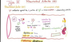 Hypersensitivity Reactions (Type I, II, III, IV HSN) | Most Comprehensive Explanation!