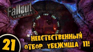 #21 НЕЕСТЕСТВЕННЫЙ ОТБОР УБЕЖИЩА 11 Полное Прохождение FALLOUT NEW VEGAS НА РУССКОМ