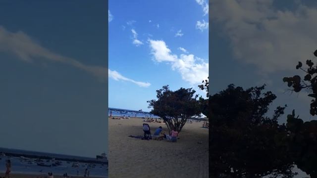 Playa Las Teresitas, Tenerife