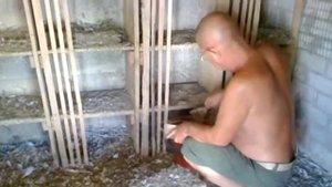 Копия видео "Сергей Котляров-голубиный помет"