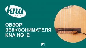 Обзор звукоснимателя KNA NG-2