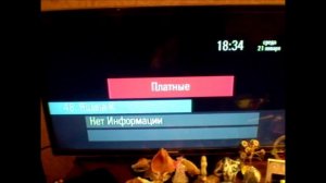 Как подключить цифровое телевидение бесплатно