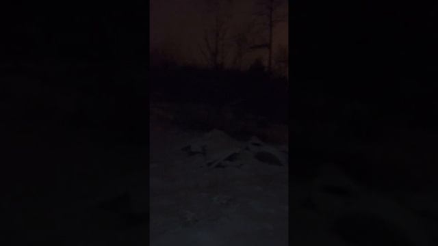 Заброшенный детский лагерь солнышко смотреть онлайн