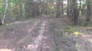 Охота в ООО "Фортуна" Романово, Романовский район Алтайский край