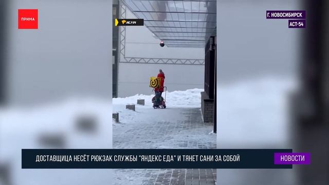 В Новосибирске женщина-курьер ходит с санками смотреть онлайн