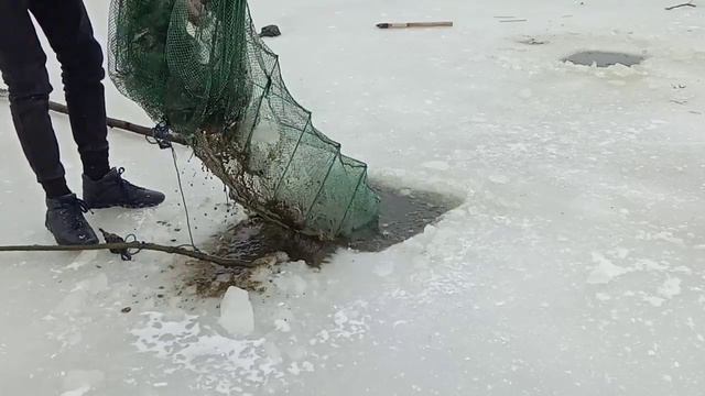 Ловля на раколовки зимой. Первый лёд 2022-23г смотреть онлайн