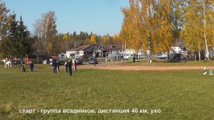 Дистанционные конные пробеги.Калгановский конный завод 3 октября 2021 г