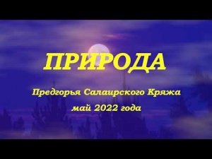 Природа - Предгорье Салаирского Кряжа (май 2022)