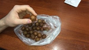 Свой ли аромат у макадамии?