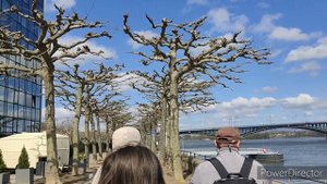 Майнц- город в Германии. Это впечатляет!